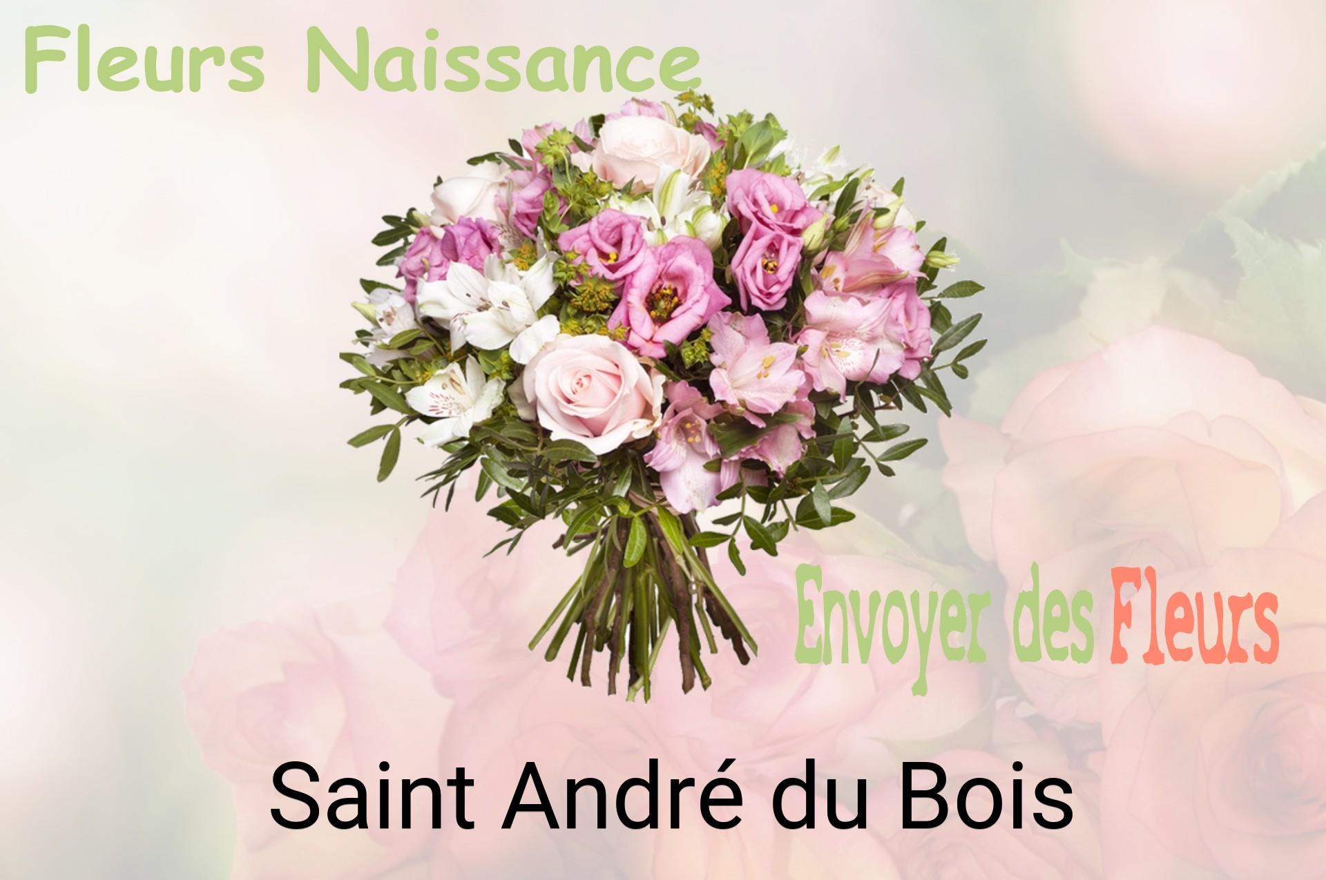 Bouquet de fleurs de naissance livré à Saint-André-du-Bois