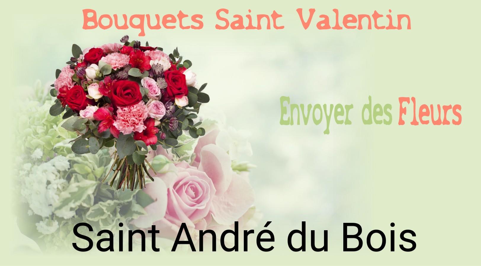 Roses de Saint-Valentin livrées à Saint-André-du-Bois