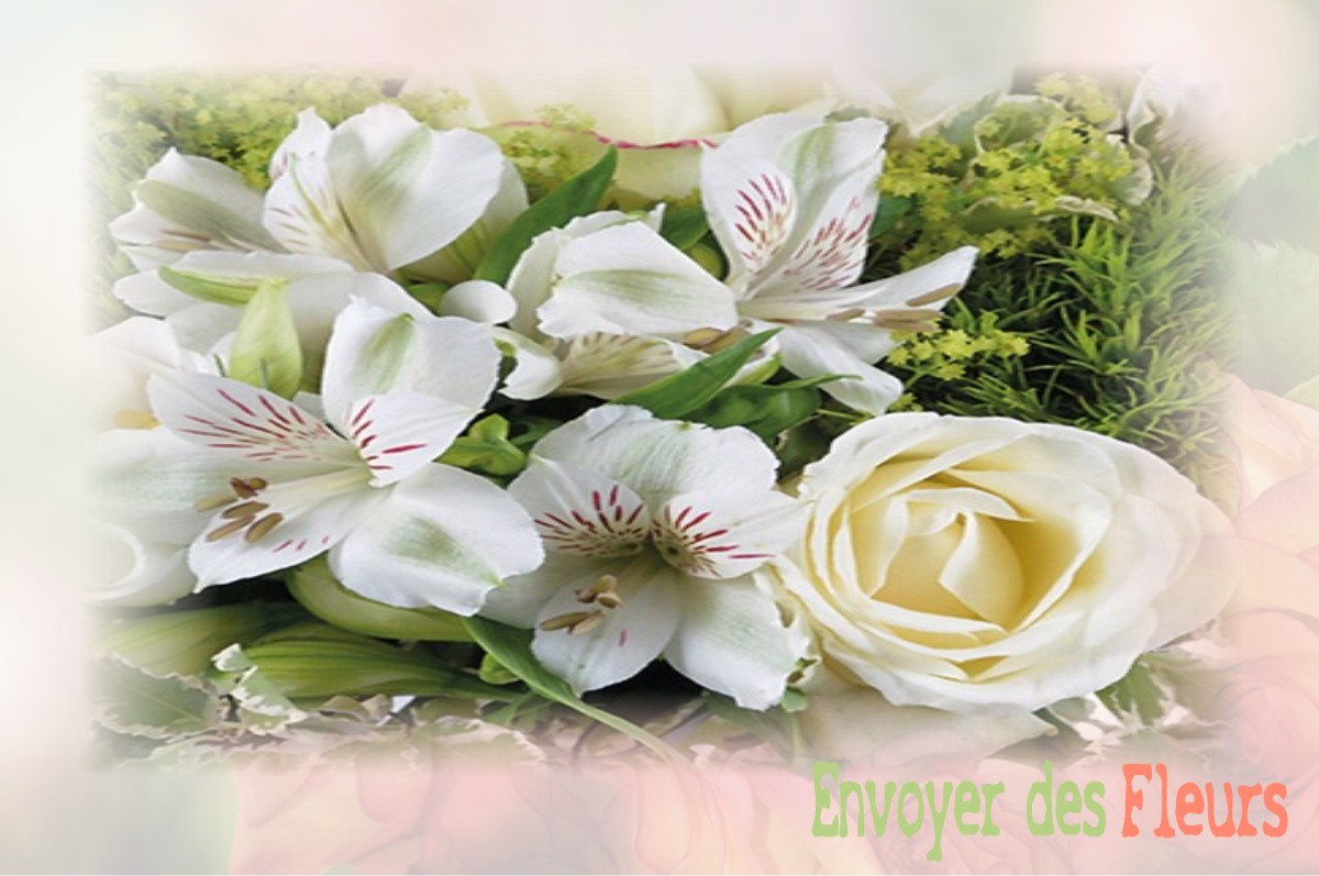 envoyer des fleurs à à SAINT-ANDRE-DU-BOIS