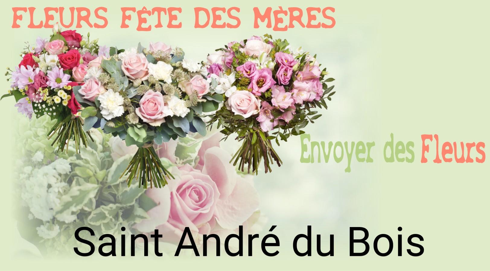 Bouquet de Fête des Mères livré à Saint-André-du-Bois